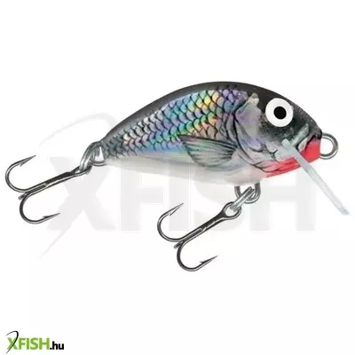 salmo wobbler tiny it3f hgs