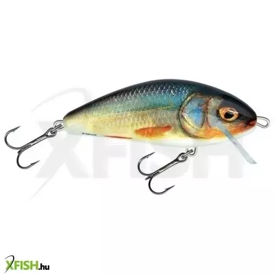 Salmo Wobbler Fatso F10S Rr