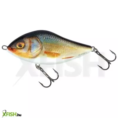 Salmo Wobbler Slider Sd5F Rr