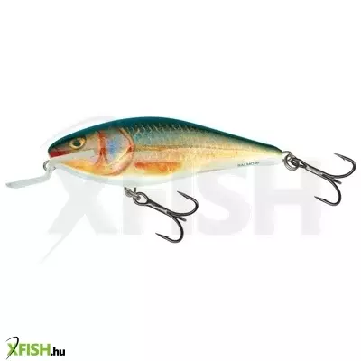 Salmo Wobbler Executor Iex5Srf Rr