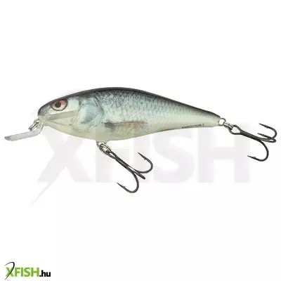 salmo wobbler executor iex7sr rd