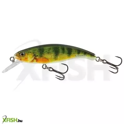Salmo Wobbler Slick Stick Su6 Fype 6 cm 4,5 g ype