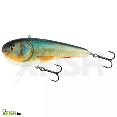 Salmo Wobbler Giant Chubby Gc14 Rr