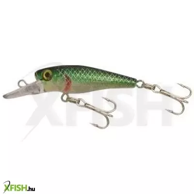 gold star wobbler perch-3 col:7