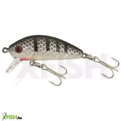 gold star wobbler perch-2 col:18