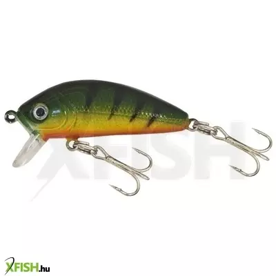 gold star wobbler perch-2 col:99