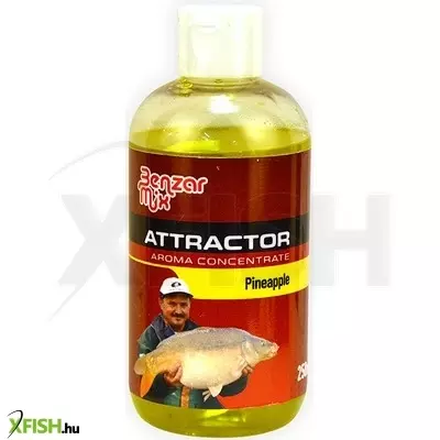 Benzar Mix Lquid Ananász 250ml