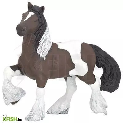 papo ír cob bay ló 51513