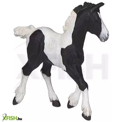 Papo fekete foltos csikó 51508