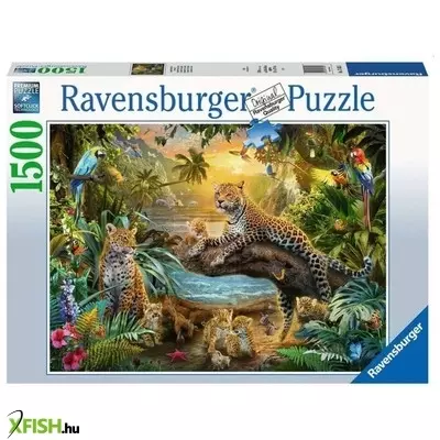 Ravensburger puzzle 1500 db - leopárdok a dzsungelban