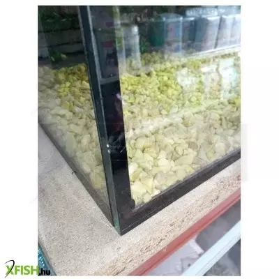 Egyéb vegyes szögletes akvárium beépített dekorációval 200 liter (kis esztétikai hiba)