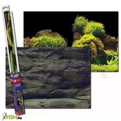 Aqua nova poszter háttér rock/plants S