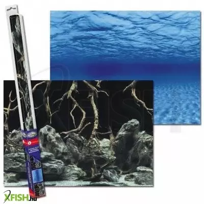 Aqua nova poszter háttér root/water L