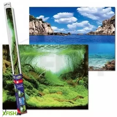 Aqua nova poszter háttér plants/ocean L