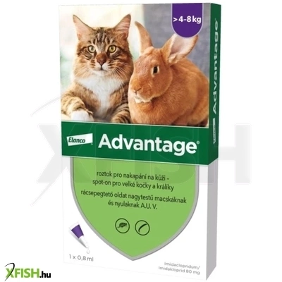 Advantage Rácsepegteto Oldat Nagytestu Macskáknak És Nyulaknak 4x0.8ml