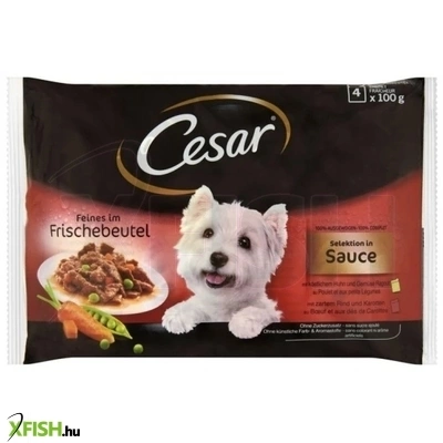 Cesar Alutasak Multipack Válogatás Mártásban Nedves Kutya Eledel 52x100g