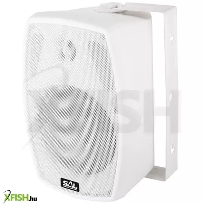 Sal bxb 100/8, 2 utas hangdoboz, 2 in 1, 60 W / 8 ohm, 40 W / 100 v, bass reflex, billenthető, forgatható