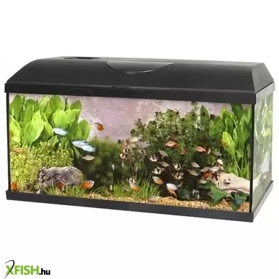 Akvárium Szett+Szűrő+Fűtő Pacific Eco Light 54l, 60x30x30cm