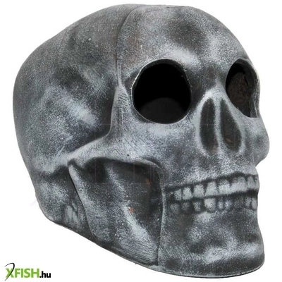 Aquadecor Cz062 Czimmer Koponya Kerámia Akvárium Terrárium Dekoráció Nagy 19x12x12,5cm