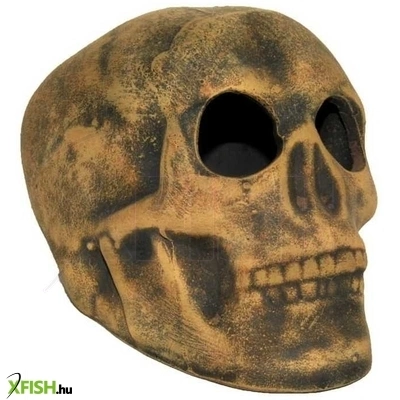 Aquadecor Cz063 Czimmer Koponya Kerámia Akvárium Terrárium Dekoráció Közepes 16,5x11x11cm
