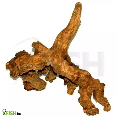 Egyéb vegyes szavanna fagyökér akvárium dekoráció S