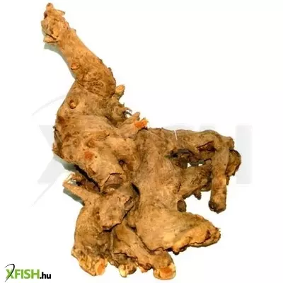 Egyéb vegyes szavanna fagyökér akvárium dekoráció L