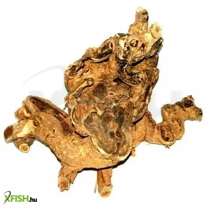 Egyéb vegyes szavanna fagyökér akvárium dekoráció xxl+