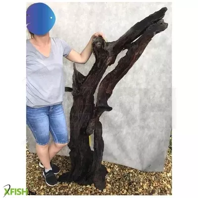 Egyéb vegyes mangrove fagyökér dekoráció extra nagy - 166x85 cm (03)