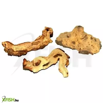 Egyéb vegyes mopani vasfa akvárium dekoráció nano