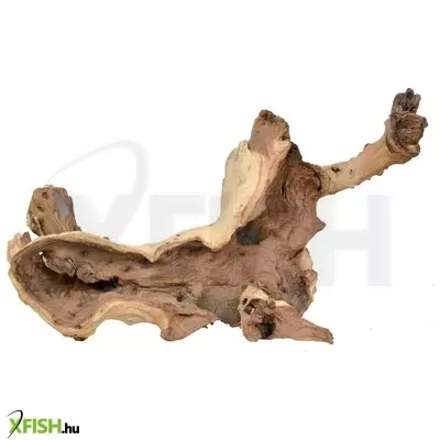 Egyéb vegyes mopani vasfa akvárium dekoráció M