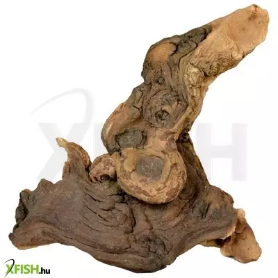 Egyéb vegyes mopani vasfa akvárium dekoráció L