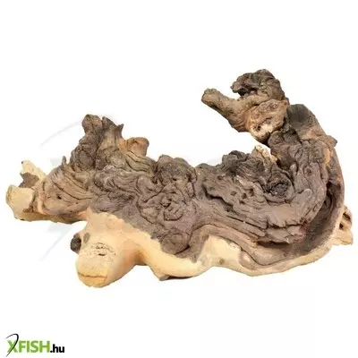 Egyéb vegyes mopani vasfa akvárium dekoráció XL