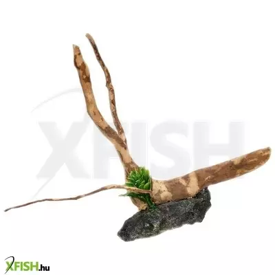 Egyéb vegyes finger wood fagyökér dekoráció akváriumba-terráriumba S (talpalt)