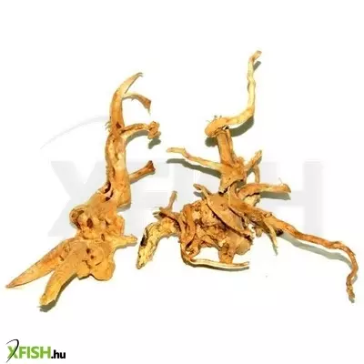 Egyéb vegyes finger wood fagyökér dekoráció akváriumba-terráriumba M