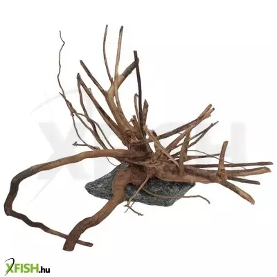 Egyéb vegyes finger wood fagyökér dekoráció akváriumba-terráriumba M (talpalt)