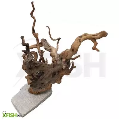 Egyéb vegyes finger wood fagyökér dekoráció akváriumba-terráriumba L (talpalt)