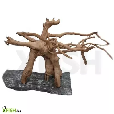 Egyéb vegyes finger wood fagyökér dekoráció akváriumba-terráriumba XL (talpalt)