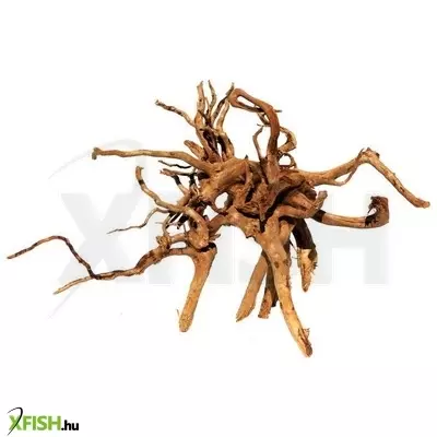 Egyéb vegyes finger wood fagyökér dekoráció akváriumba-terráriumba xxl+