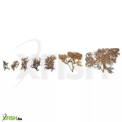 Egyéb vegyes japán fagyökér akvárium-terrárium dekoráció - XL