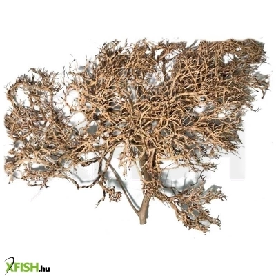 Egyéb Japán Fagyökér Akvárium Terrárium Dekoráció  XXL