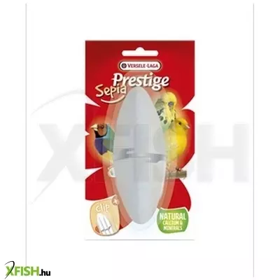 Prestige Szépiacsont 12cm