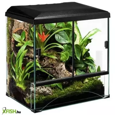 Diversa terraset forest terrárium szett 30x25x35cm CSAK SZEMÉLYES ÁTVÉTEL!