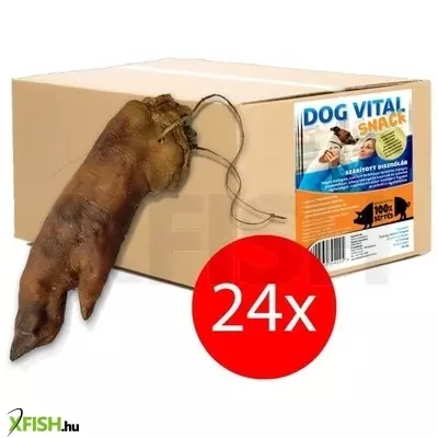 Dog Vital Disznóláb 24db/karton