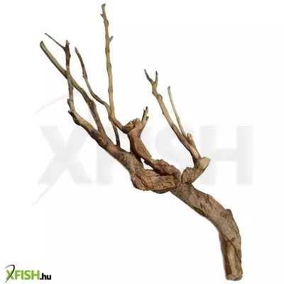 Aquadeco talawa wood fagyökér akvárium-terrárium dekoráció M