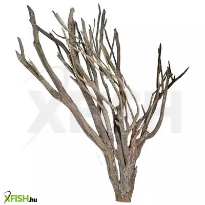 Aquadeco talawa wood fagyökér akvárium-terrárium dekoráció XL