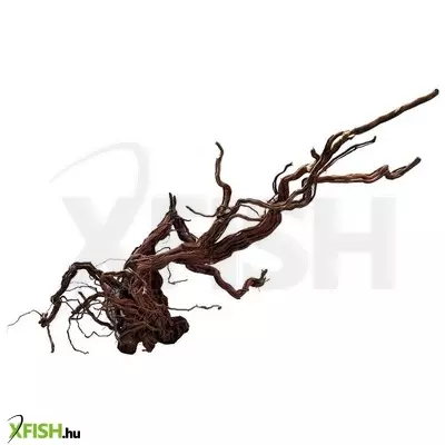 Egyéb vegyes dragon wood egyedi fagyökér dekoráció terráriumba 120cm (01)