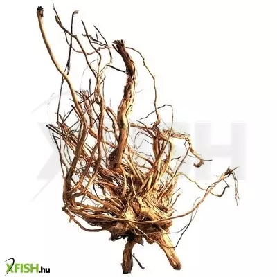 Egyéb vegyes szétágazó fagyökér dekoráció terráriumba - egyedi 02