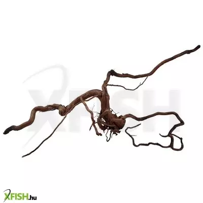 Egyéb vegyes dragon wood egyedi fagyökér dekoráció terráriumba 120cm (08)