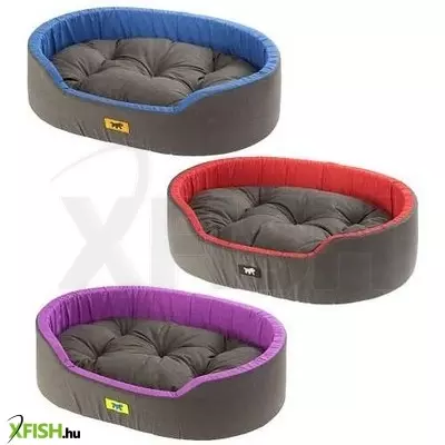 Ferplast dandy gym fekhely 55cm - cuscino (kék)