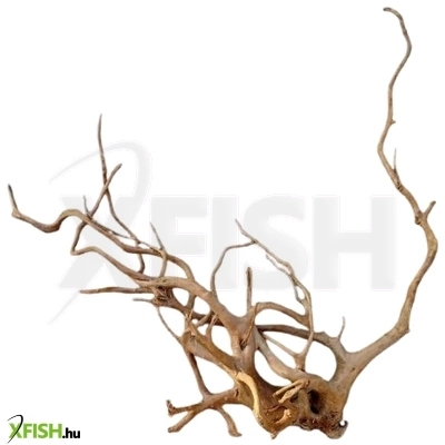 Aquadeco finger wood fagyökér dekoráció akváriumba-terráriumba - egyedi 02
